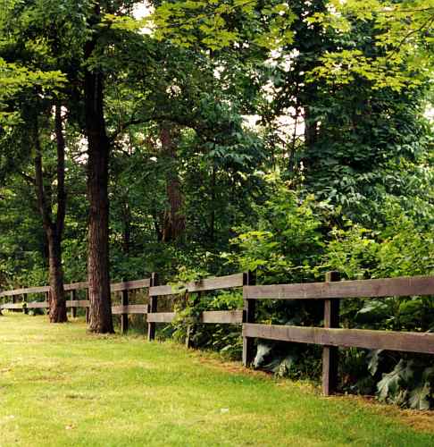 Euclid Creek Park site, Copyright 2004, Daniel J. Parks